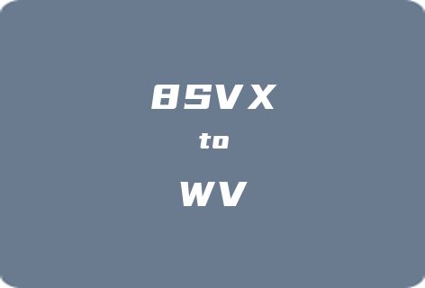 8SVX转WV转换器